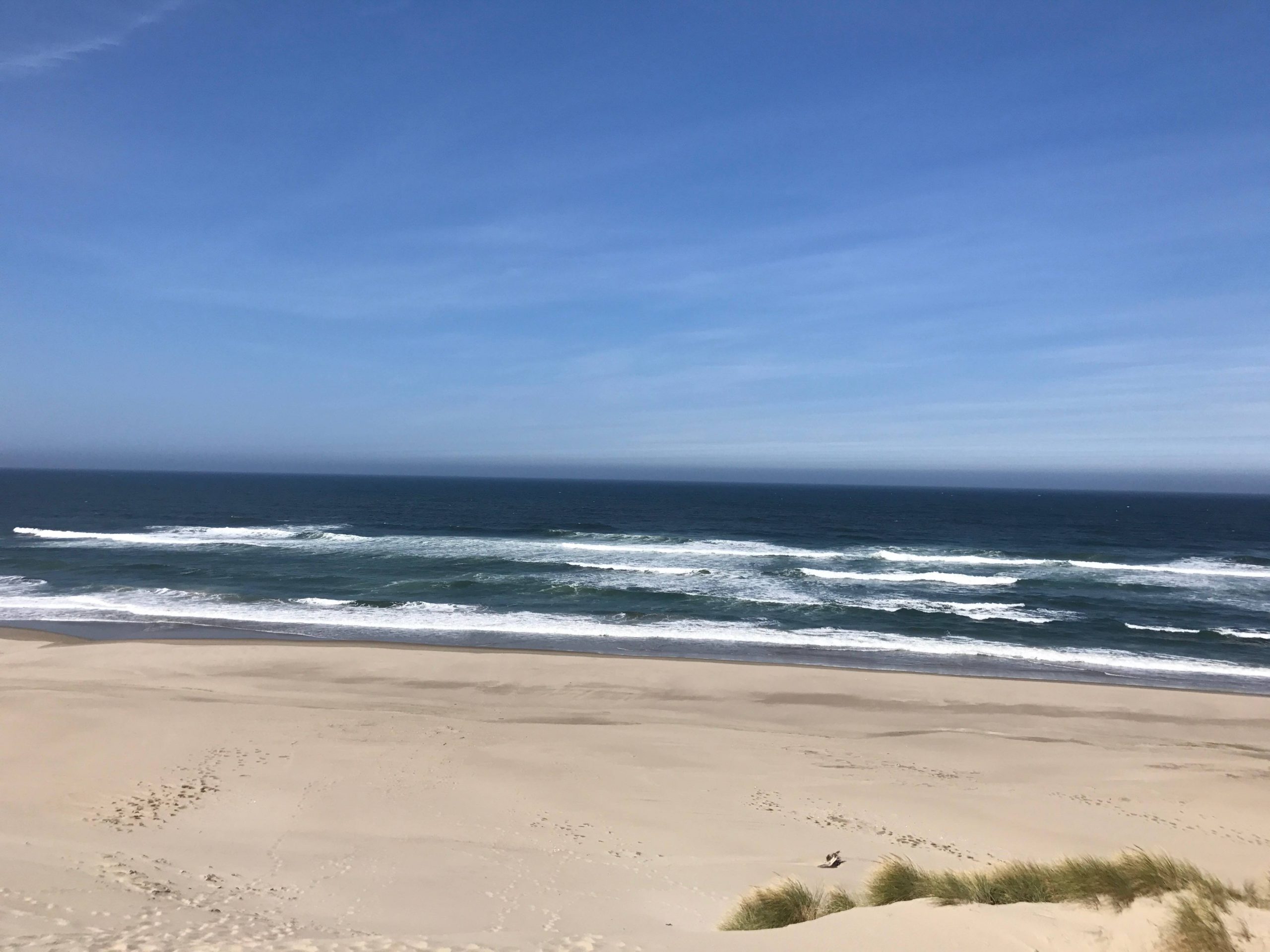 Beach and Pacific Ocean: Title Lets Travel Family