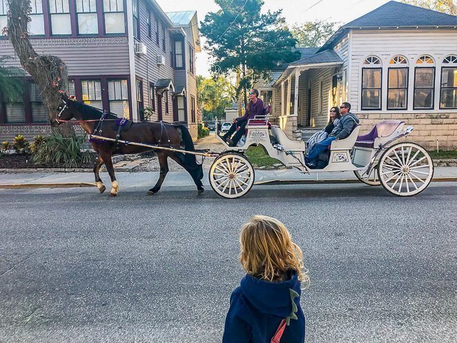 Horse Drawn Carriage Ride