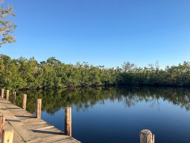 Collier Seminol State Park - Naples with Kids