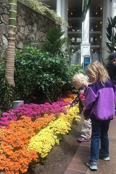 Gaylord Opryland Resort - where to stay in Nashville with kids