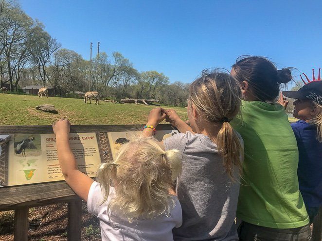 Nashville Zoo - Top things to do in Nashville with Kids