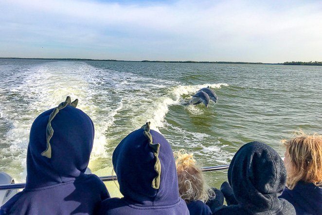 Dolphin Cruise - Travel Bucket List