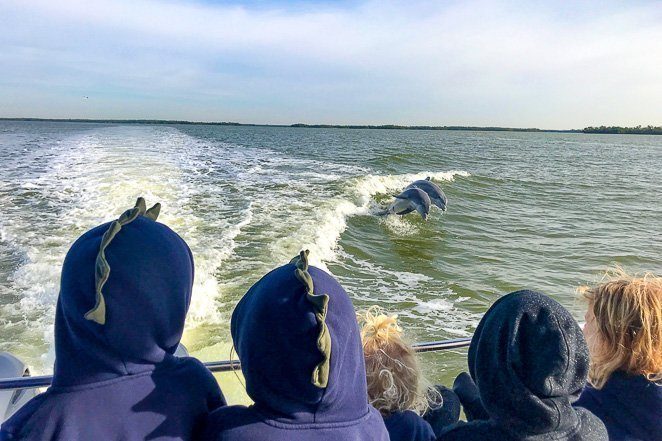 Dolphin Cruise - Travel Bucket List Dolphin Cruise - Travel Bucket List