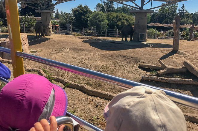 Double Decker Bus Tour of San Diego Zoo - Family Bucket List trips