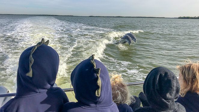 Dolphin Cruise - Fort Myer's Beach