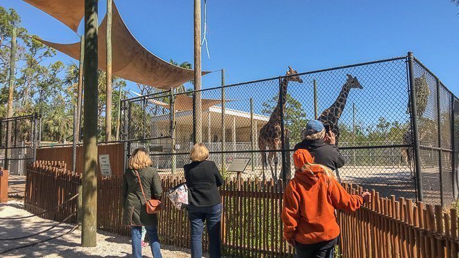 Naples Zoo - Things to do with kids in west Florida