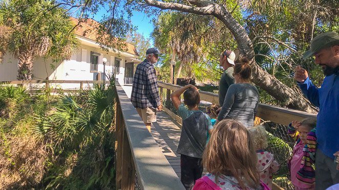 Ranger Led Hike - Oscar Scherer State Park