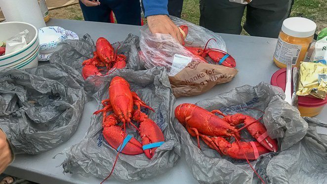 What to do in Bar Harbor Maine - Eat Lobster