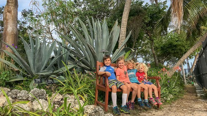 Best things to do in Key West with kids - Key West Garden Club