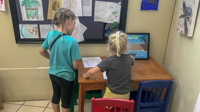 Florida Keys with kids - Sea Turtle Hospital Florida Keys with kids - Sea Turtle Hospital