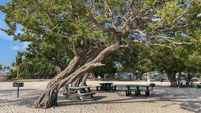 Key Largo Beaches - Harris Park