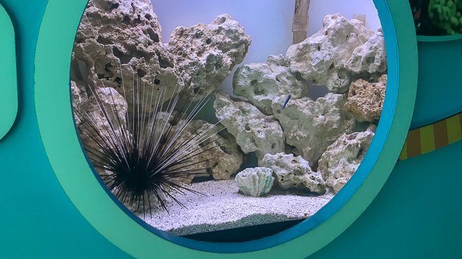 Key West Kids Activities - Discovery Center Key West Kids Activities - Discovery Center