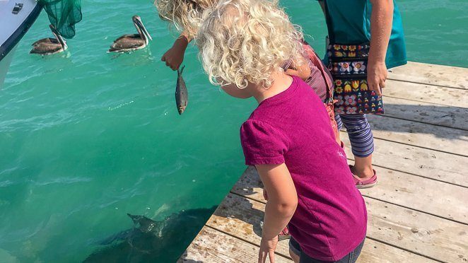 Robbies Tarpon Feeding Keys