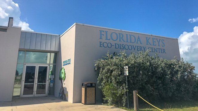 Things for Kids to do in Key West - Visit the Florida Keys Discovery Center