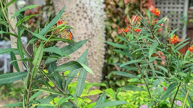 West Martello Tower - Key West Garden Club_