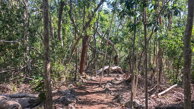 What to do in Key Largo - Go hiking at John Pennekamp State Park FL