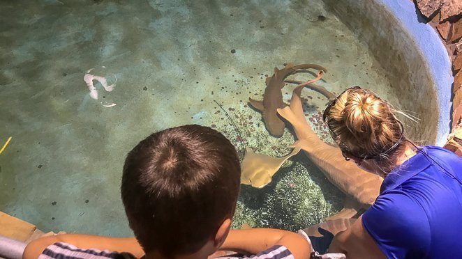 What to do in Key West with kids - Key West Aquarium_