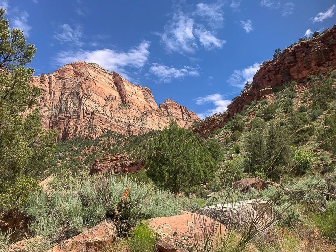 Best Hikes In Zion