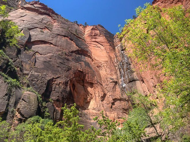 The Riverside Walk Trail in Zion The Riverside Walk Trail in Zion