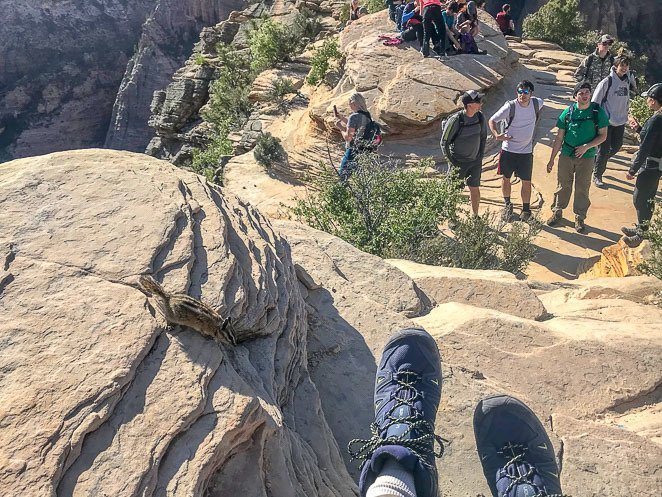 Zion hiking trails and chipmunks