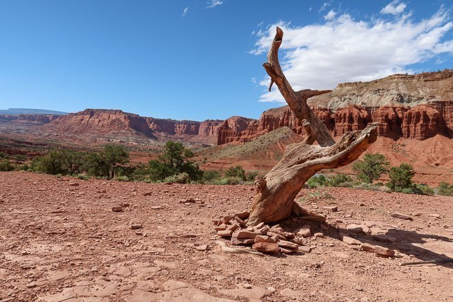 Capitol Reef National Park