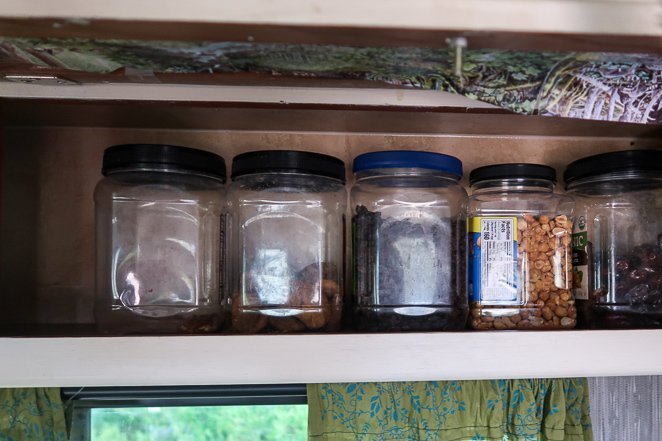 Food Storage with Nuts and Dried Fruit