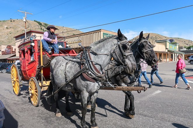 Horse Drawn Carriage Ride - Jackson WY