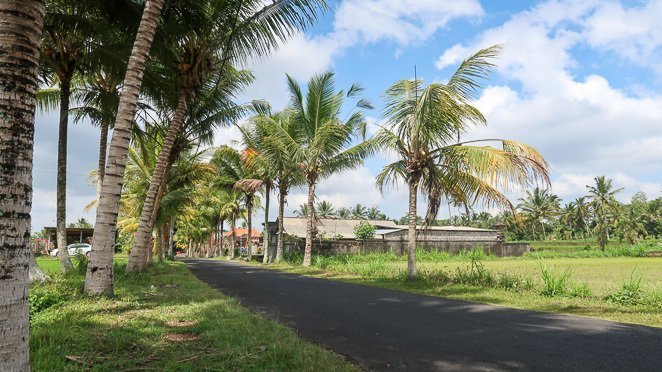 Best Time of Year to Visit Bali - Northern Rice Fields in Bali