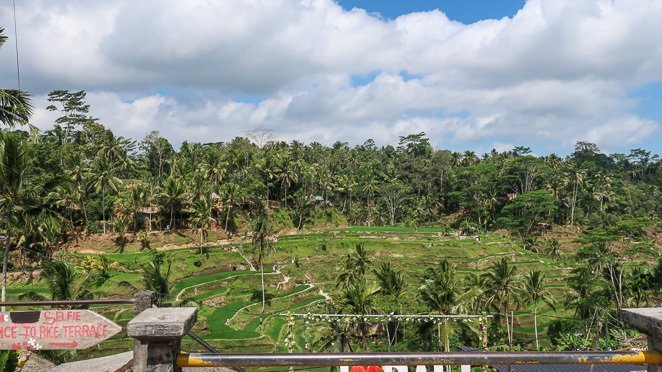 Rice Terrances Bali Rice Terrances Bali