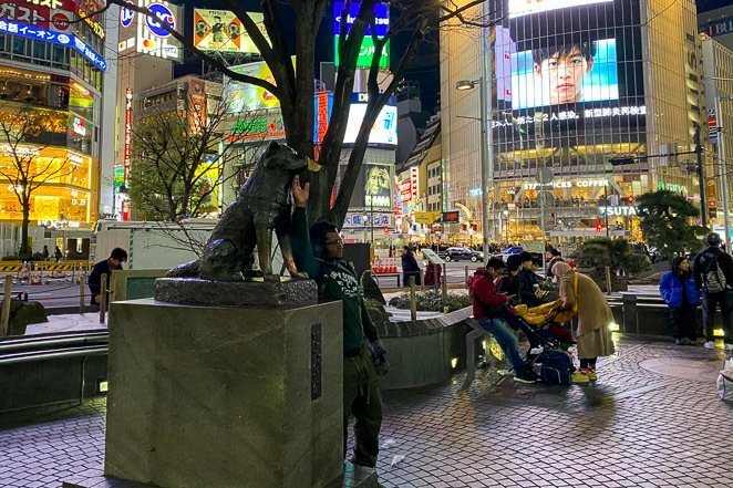 Memorial Statue Of Hachiko