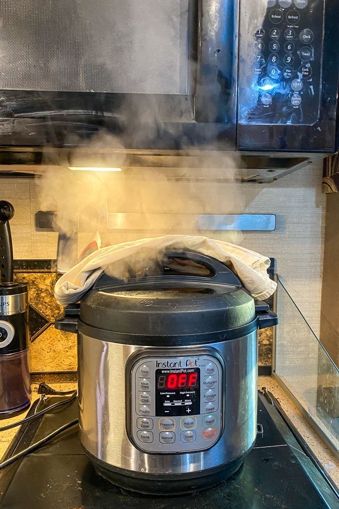 Instant Pot for RV Thanksgiving