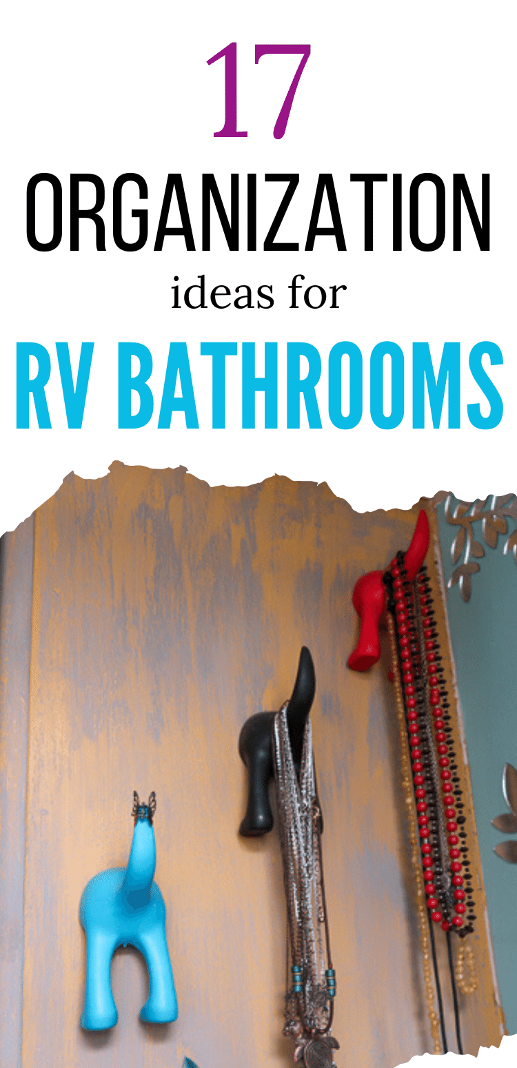 RV Bathroom organization storage ideas