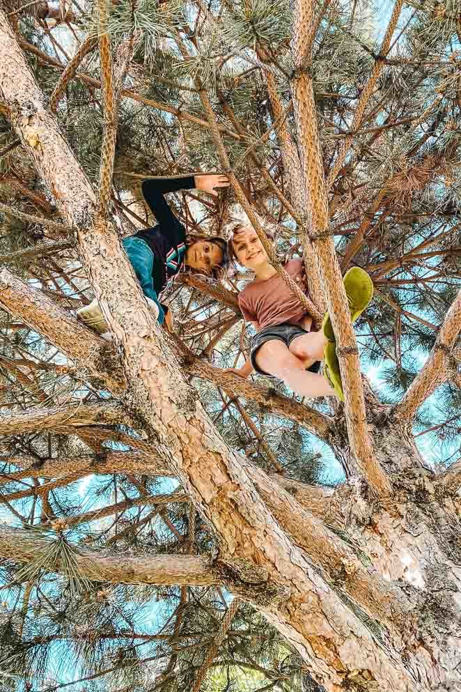 Climb a tree Climb a tree