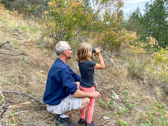 Tubbs Hill Hike to see Osprey Nests