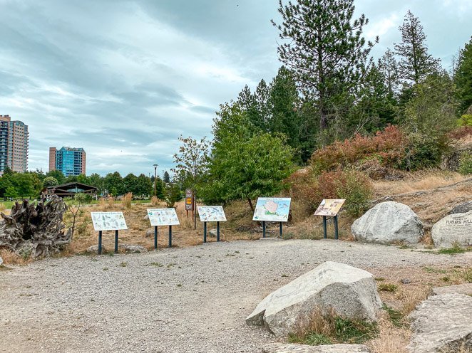 Tubbs Hill Hike in CDA Tubbs Hill Hike in CDA