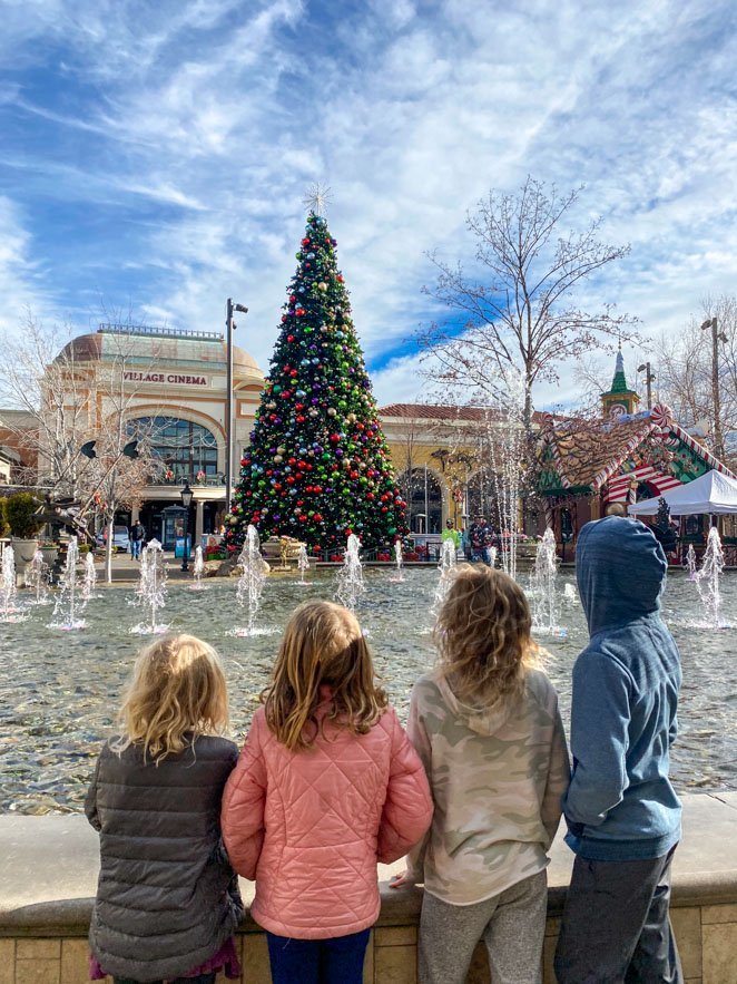 The Village Meridian at Christmas