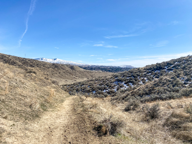 Harrison Hollows Hike Boise in Spring