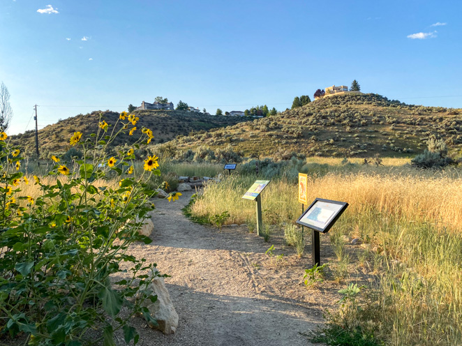 Nature Trail near Hulls Gulch