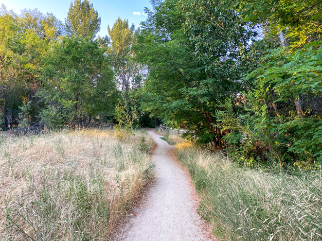 Owl's Roost Trail Boise