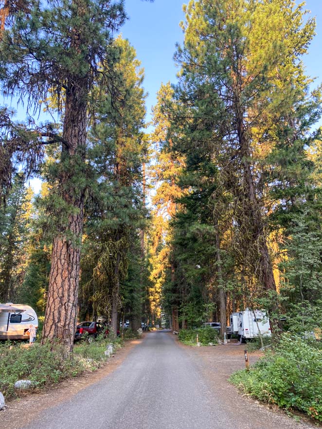 Camping Ponderosa State Park