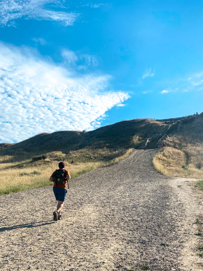 Camels Back Park and Hike Boise