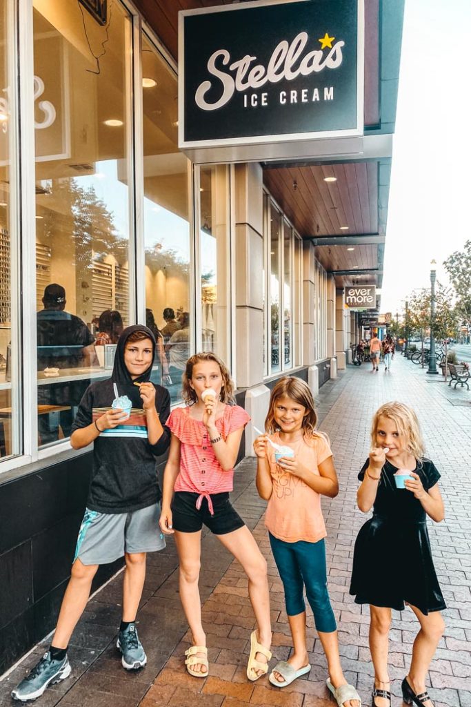 Stella's Ice Cream Downtown Boise top things to do