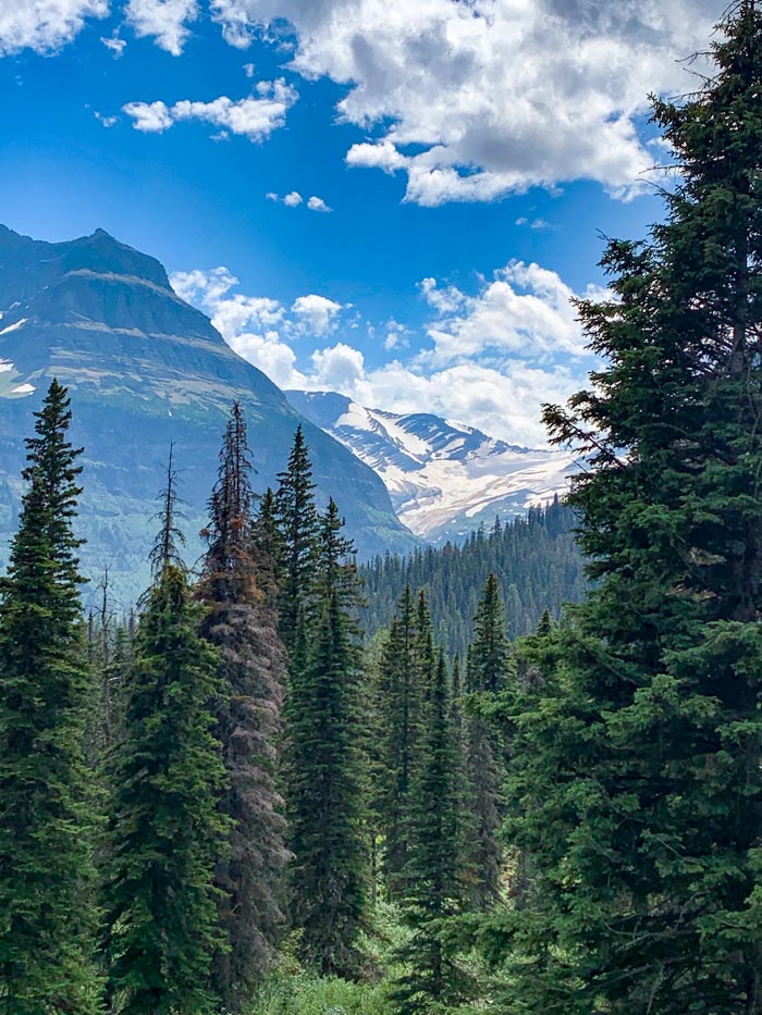 Jackson Glacier