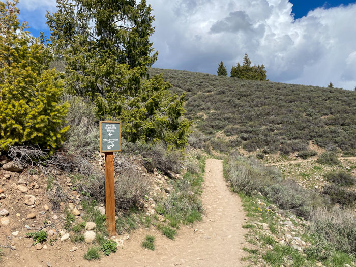 Mountain Biking White Clouds Trail Loop