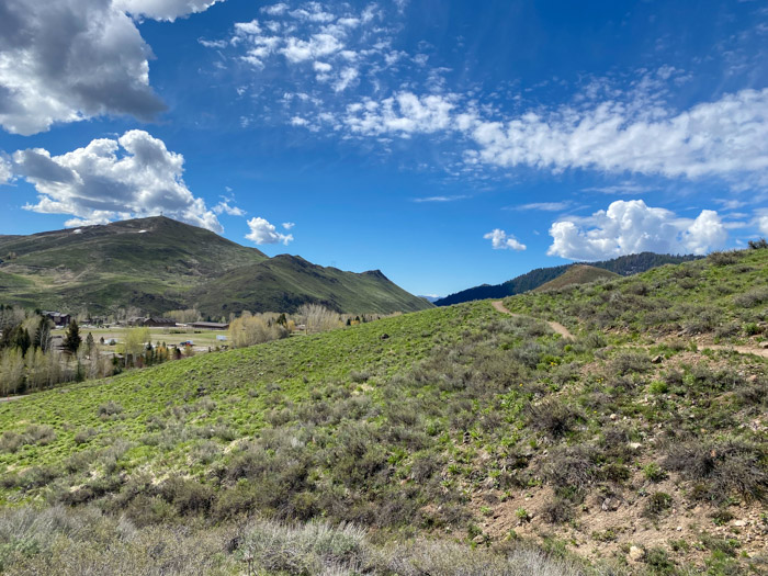 Mountain Biking White Clouds Trail May