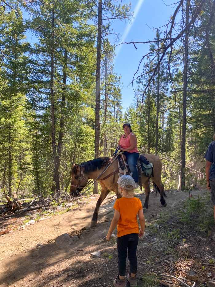 Horseback Riding near Stanley at Red Fish Lake Lodge