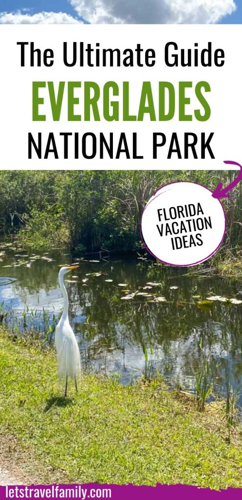 Ultimate Guide to Everglades National Park in Florida