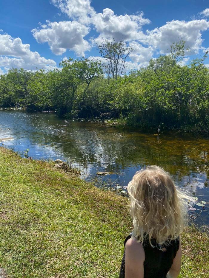 Best Things To Do In Everglades National Park