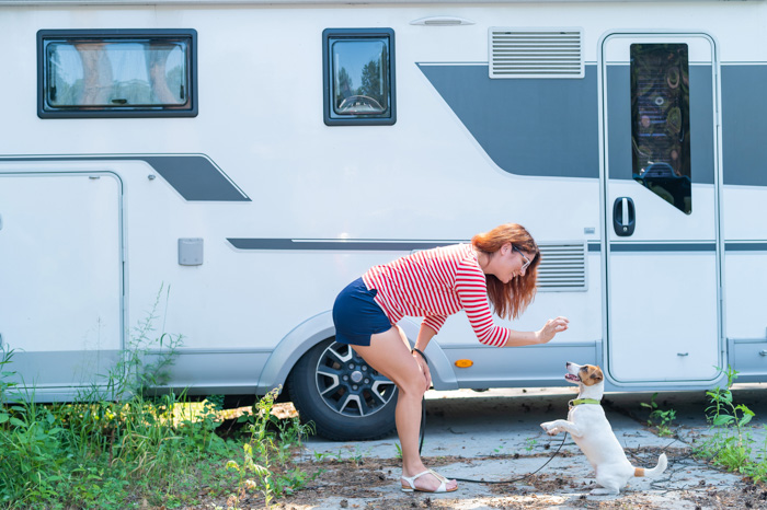 RVing with Dogs