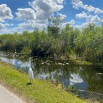 Things To Do In Everglades National Park
